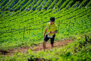 BIB: 2062
                            <button type="button" onclick="openModal(19163045)" class="btn btn-primary btn-sm float-right btn-popup" data-toggle="modal" data-target=".modal-high-quality">
                        <i class="fas fa-shopping-cart"></i> Add to Cart
                    </button>
                                            <button type="button" onclick="isThisMe(19163045, true)" class="btn btn-success btn-sm float-right btn-popup btn-isme hidden" data-toggle="tooltip" data-placement="bottom" title="นี่คือรูปของคุณใช่ไหม คลิกที่นี่เพื่อเอาเข้าอัลบั้ม">
                        <i class="fas fa-plus"></i> Add to album
                    </button>
                    <button type="button" onclick="isThisMe(19163045, false)" class="btn btn-warning btn-sm float-right btn-popup btn-isnotme hidden">
                        <i class="fas fa-ban"></i> Remove from album
                    </button>